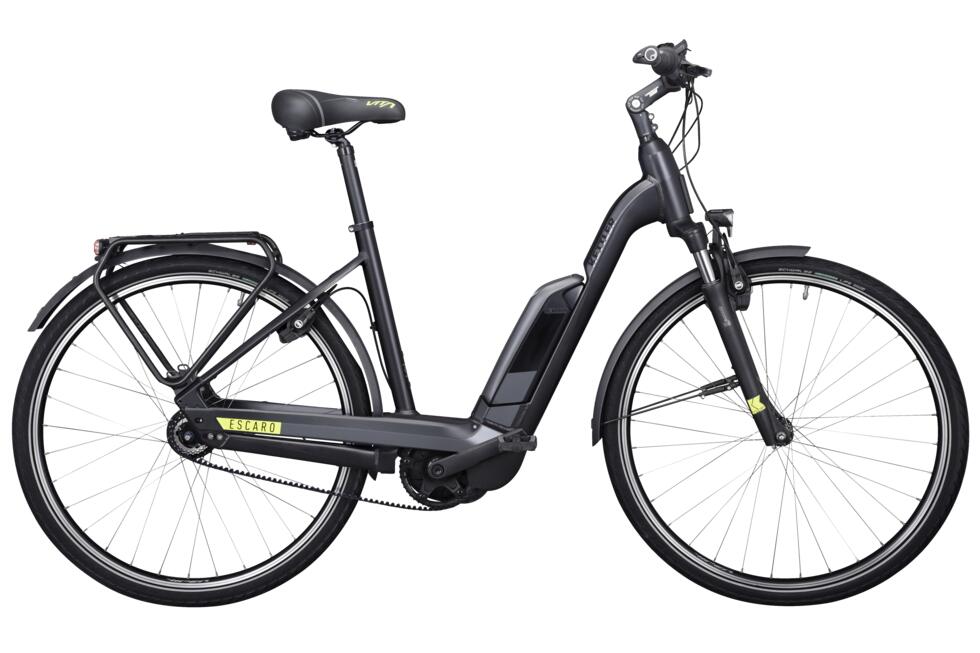 Escaro Comp 8 Belt FL